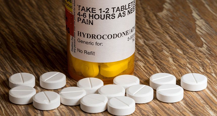 bottle of hydrocodone