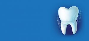 Tooth Banner image